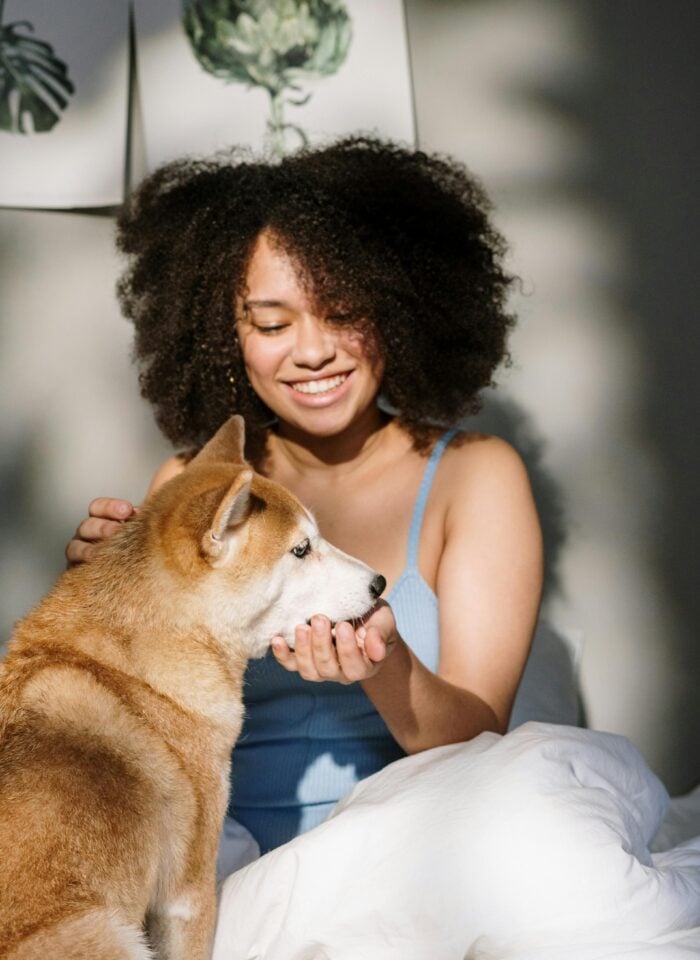Woman smiling in bed while petting a Shiba Inu dog in soft morning light.