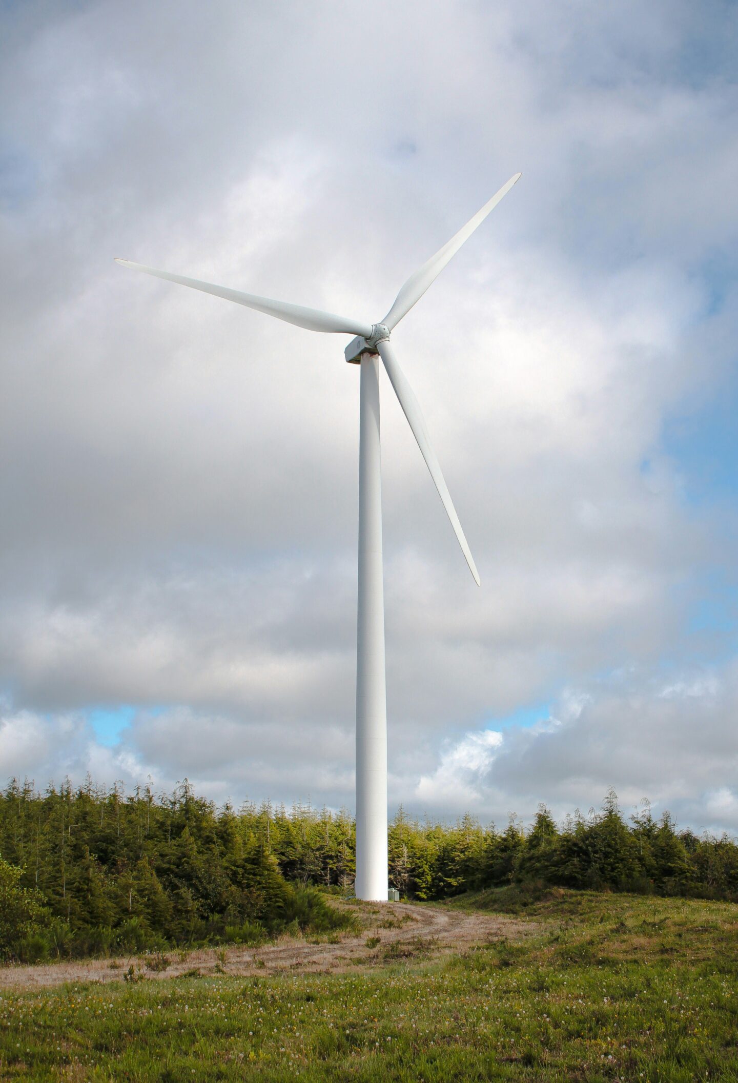 Large wind turbine standing in an open field with trees in the background under a cloudy sky.