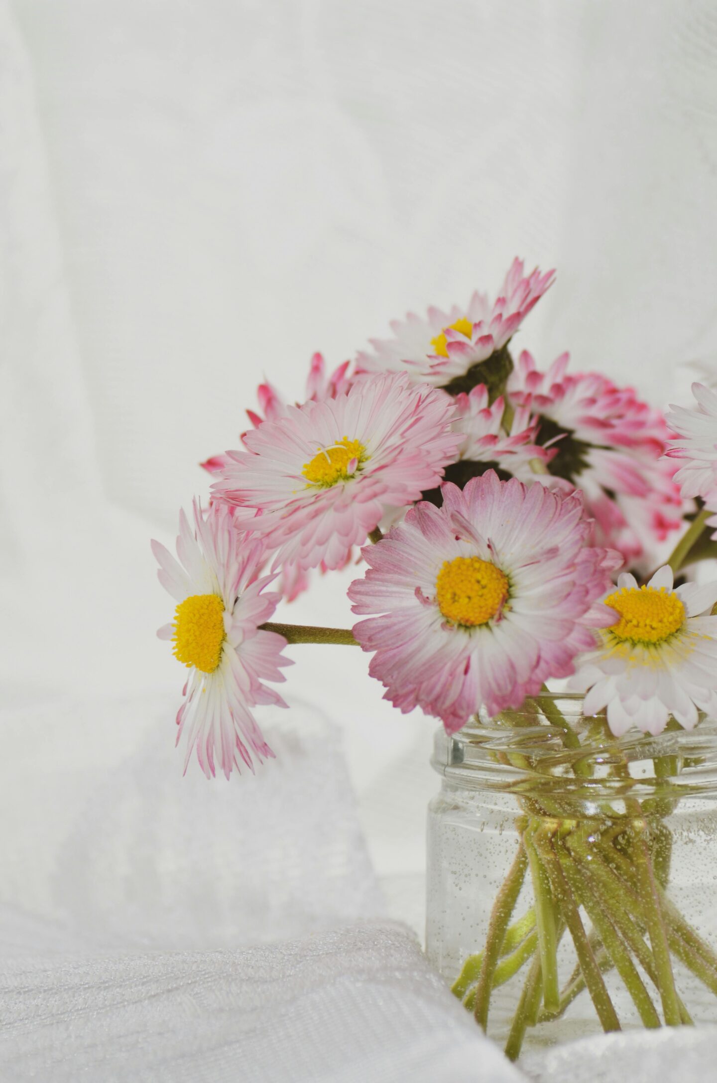 Pink and white flowers arranged in a reused glass jar filled with water