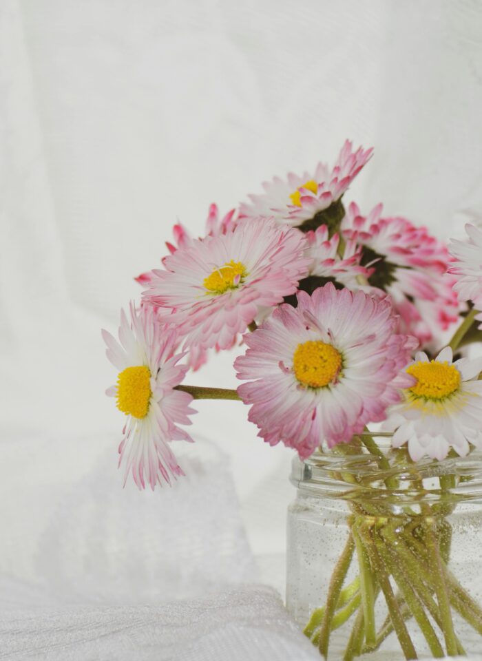 How Mindful Reuse Choices Support Awesome Eco Goals And Cleaner Home Routines