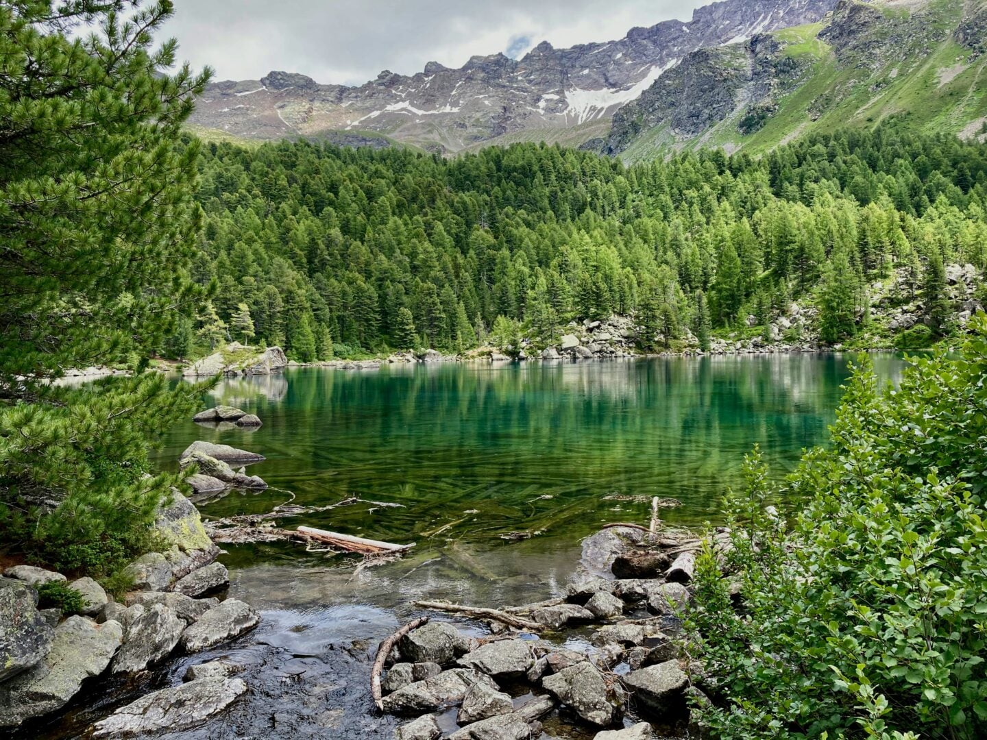 A vivid turquoise alpine lake surrounded by dense green pine forest, rocky shorelines, and high mountain peaks with patches of snow, reflecting clearly in the still water at Lago di Saoseo in Val da Camp, Poschiavo, Switzerland.
