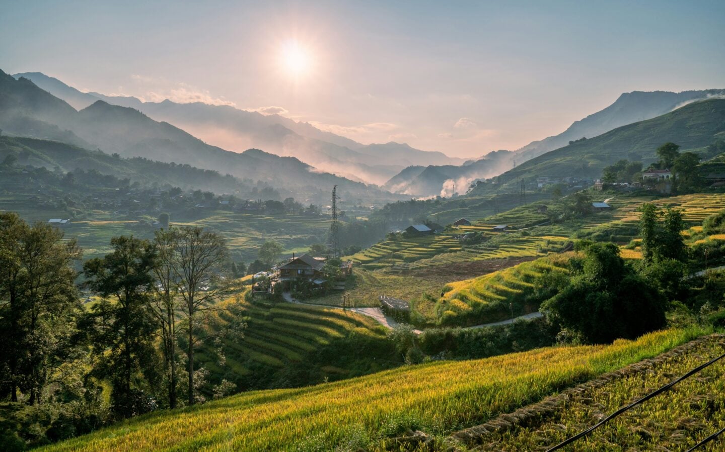 Golden rice terraces cascading through the mountains of Sapa, Vietnam, with misty hills and rural homes at sunrise.