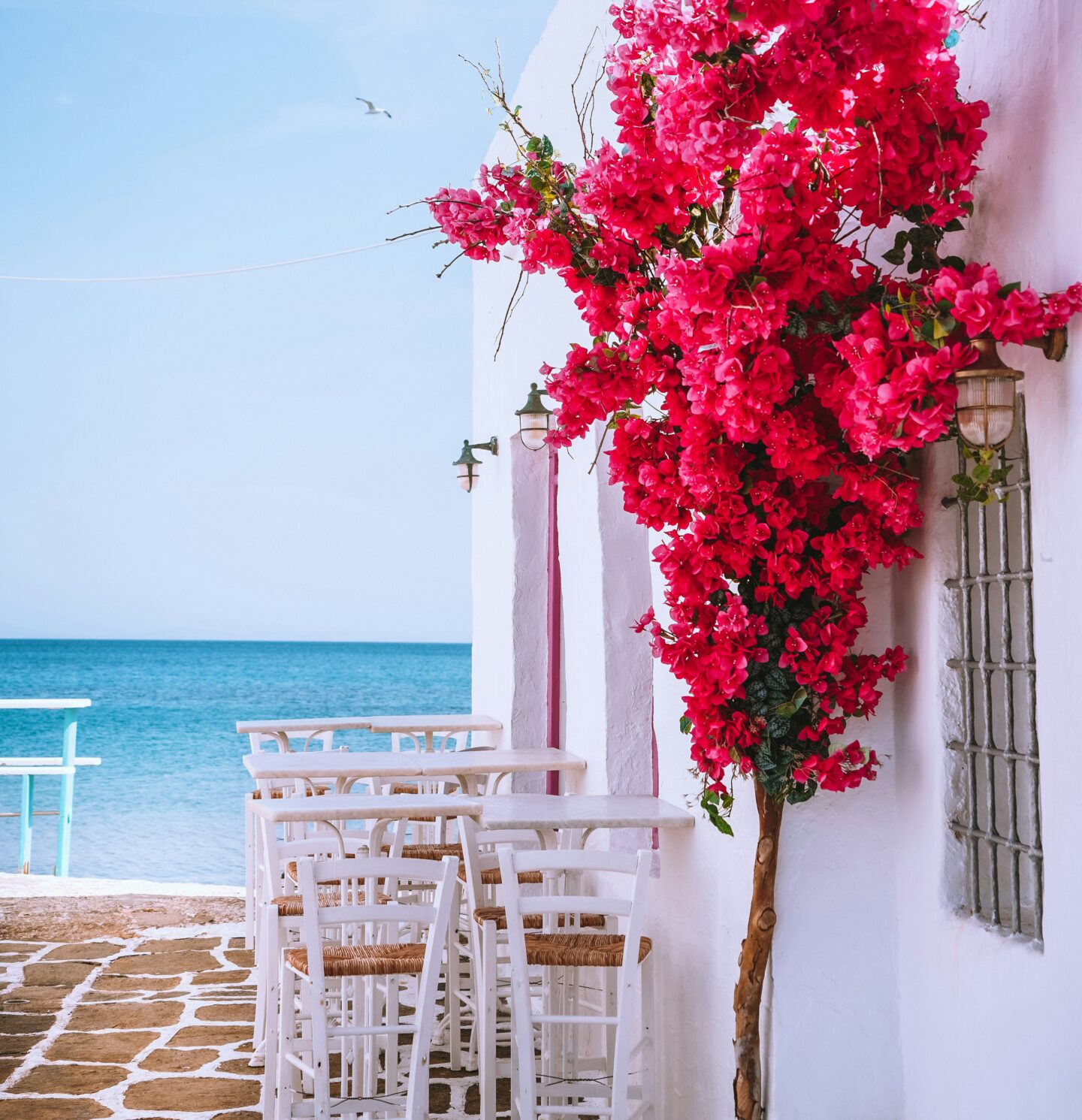 White seaside tables and chairs set beside the blue sea in Paros, Cyclades, Greece, with bougainvillea flowers climbing a whitewashed wall.