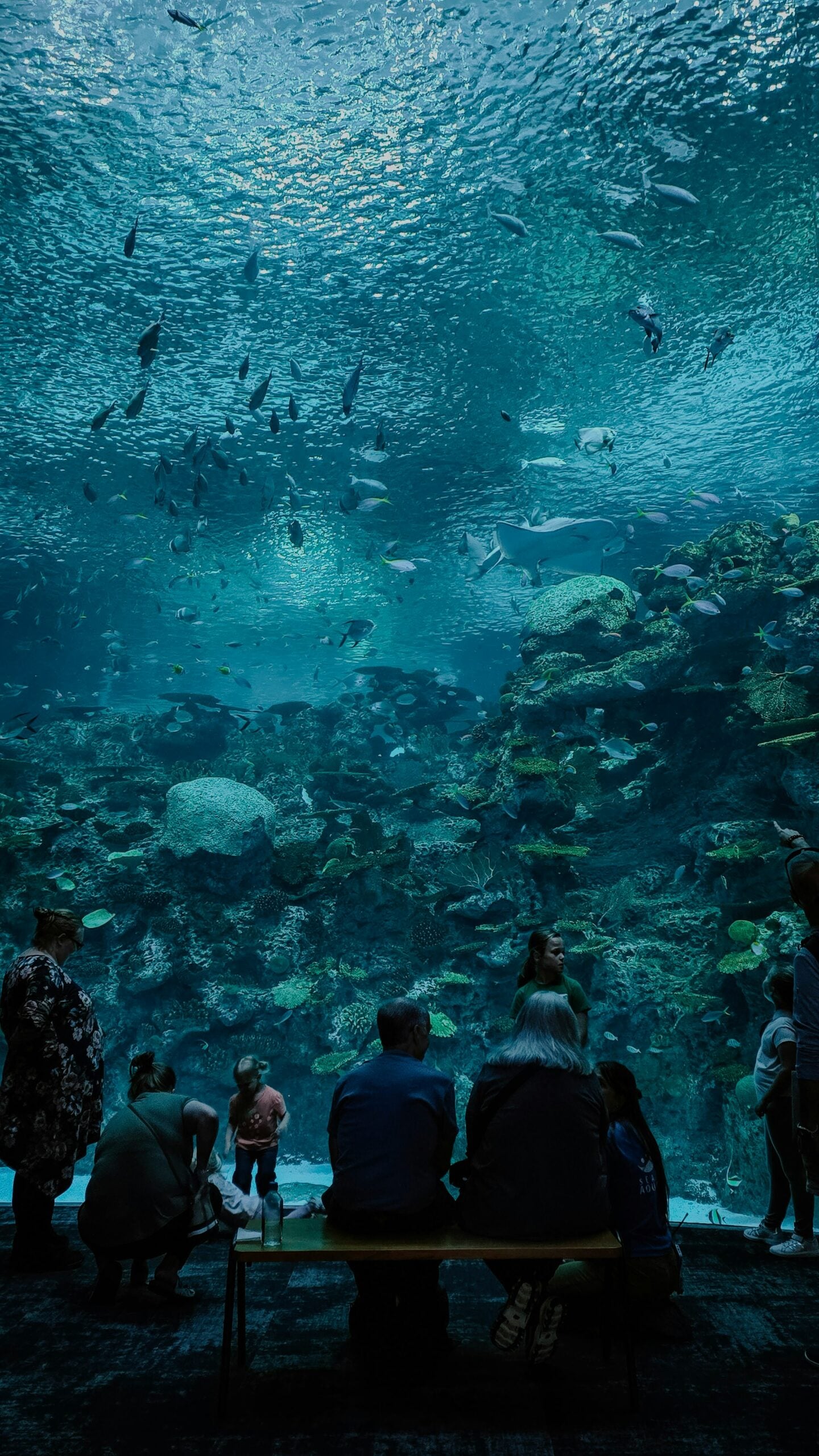 Visitors observe a massive underwater tank filled with fish, coral, and a stingray at the Seattle Aquarium.