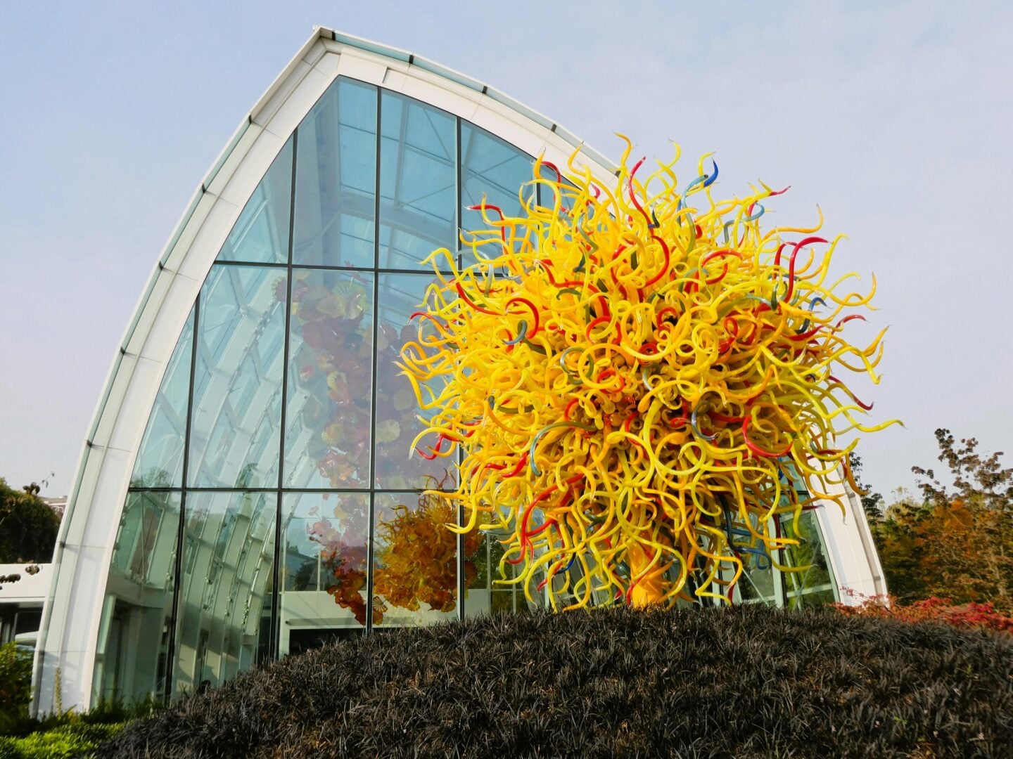 A vibrant yellow and red blown-glass sculpture by Dale Chihuly displayed outside the glasshouse at Seattle’s Chihuly Garden and Glass.