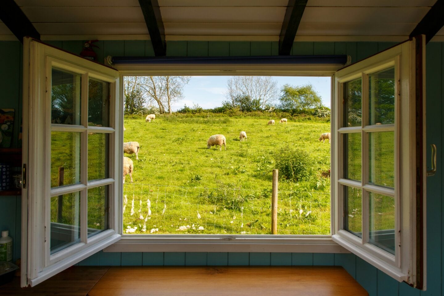 An open white wooden-framed window looking out onto a green hillside where sheep are grazing in a sunny countryside landscape.