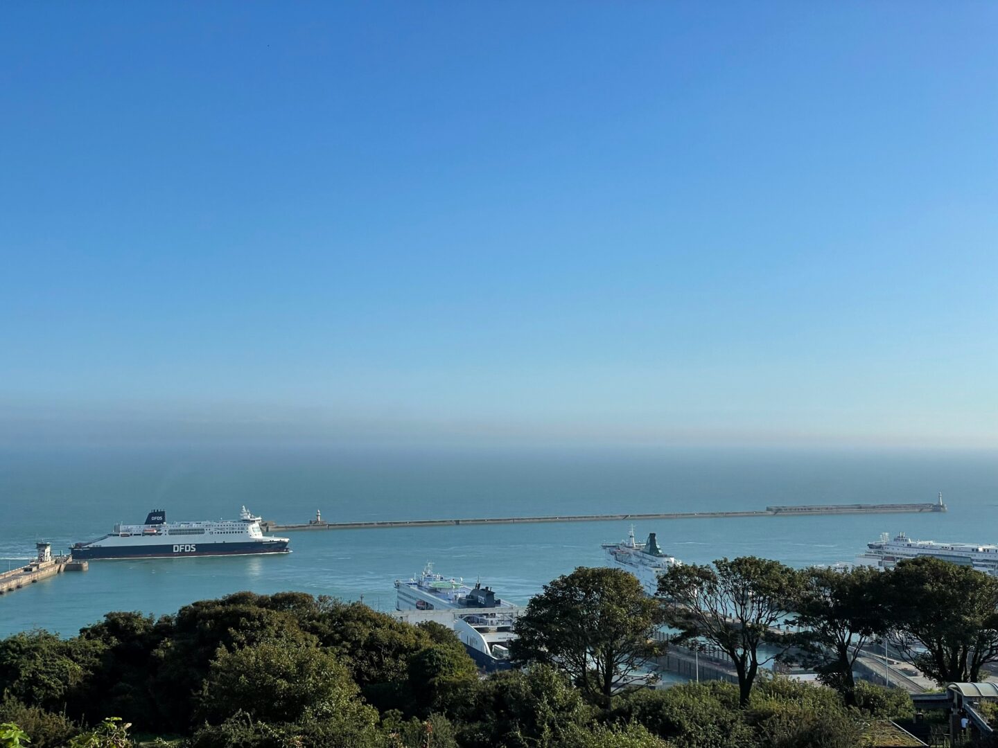 View over the Port of Dover with ferries docked in calm blue water, a long breakwater stretching into the English Channel, and trees in the foreground under a clear blue sky.