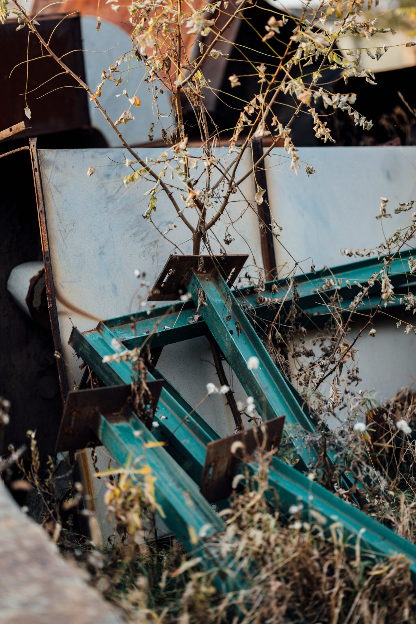 Pile of old metal beams and dried plants among backyard clutter and scrap materials ready for removal.