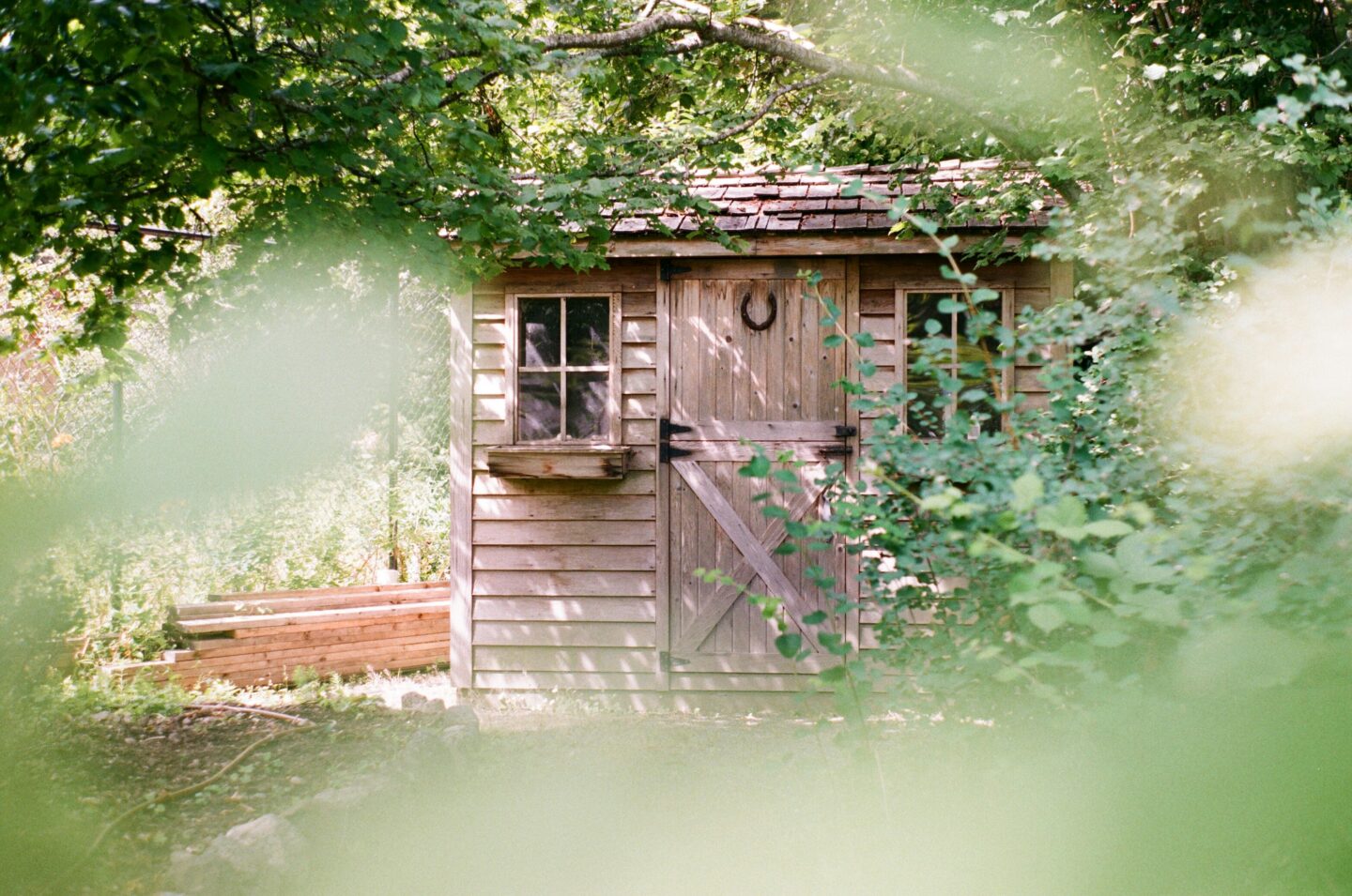 Small wooden backyard shed surrounded by lush greenery and trees, with a rustic door and window, illustrating a practical outdoor storage solution.