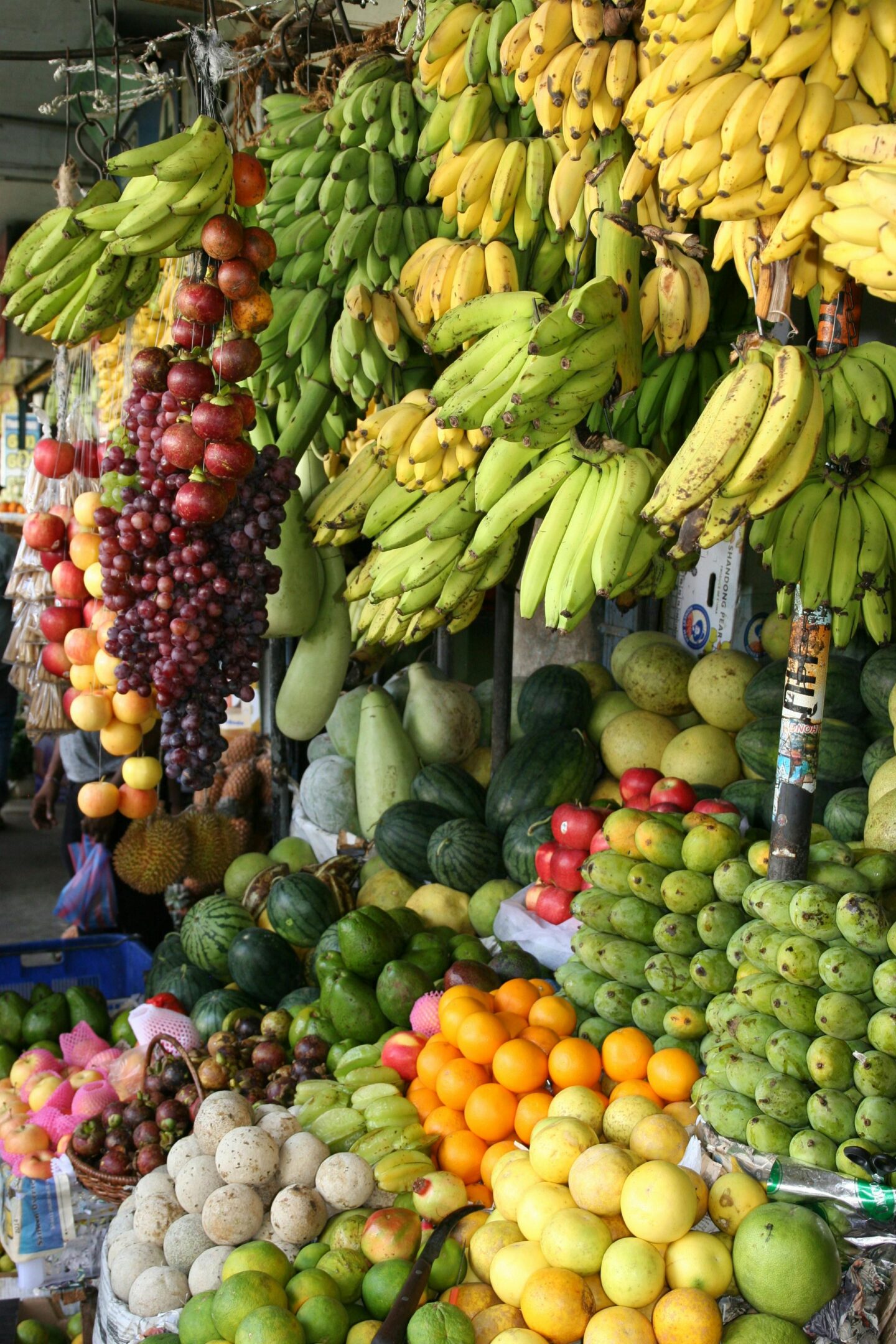 Colorful market fruit stall displaying hanging bunches of bananas and grapes with stacks of oranges, mangoes, melons, and other tropical fruits arranged below.