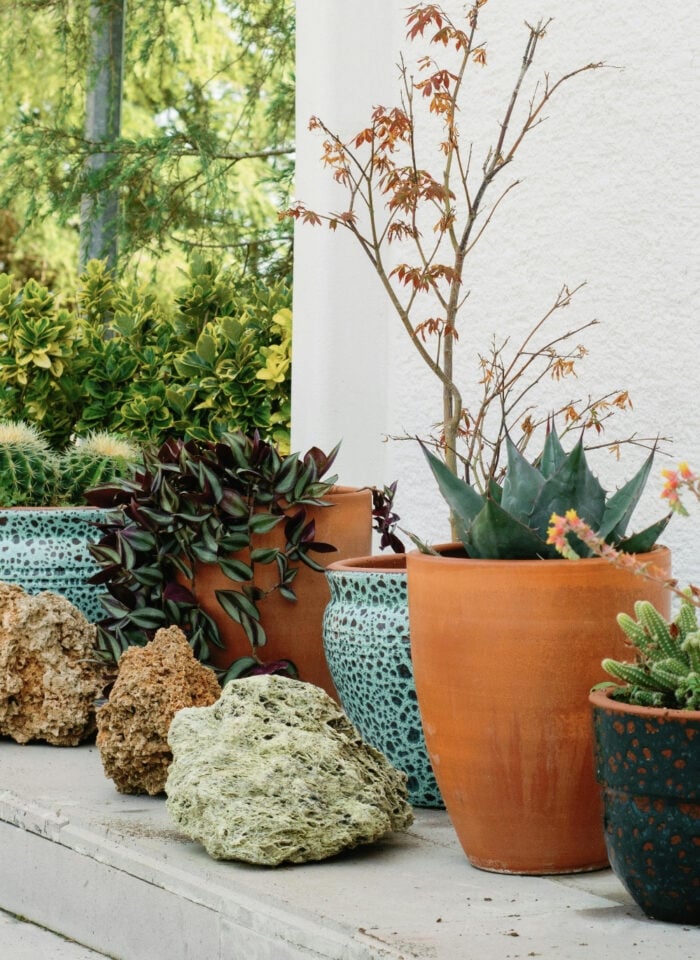 Decorative outdoor plant arrangement with succulents and cacti in colorful ceramic and terracotta pots placed along a white wall with natural stones and greenery.