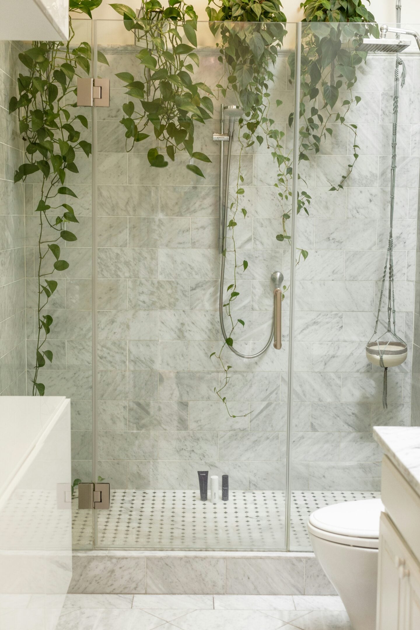 Walk-in glass shower with marble tiles and hanging green plants creating a spa-like bathroom atmosphere.