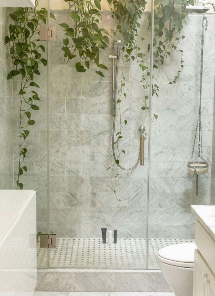 Walk-in glass shower with marble tiles and hanging green plants creating a spa-like bathroom atmosphere.
