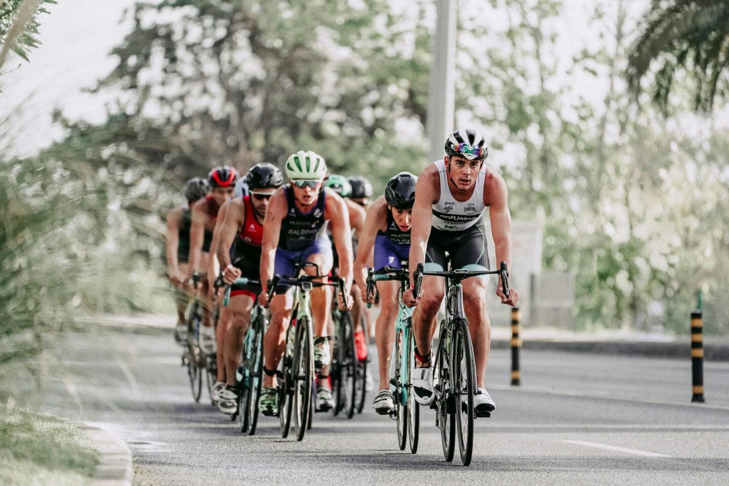 Group of competitive cyclists racing road bikes together on a tree-lined road during a cycling event.