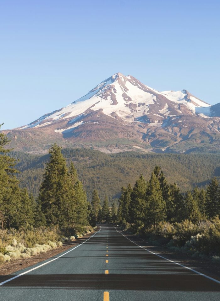 Scenic road leading through a pine forest toward the snow-capped peak of Mount Shasta in California, USA.