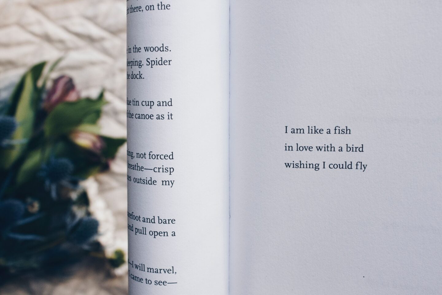 Close-up of an open poetry book with a short poem on the page, representing the calming benefits of reading poetry for mindful living.