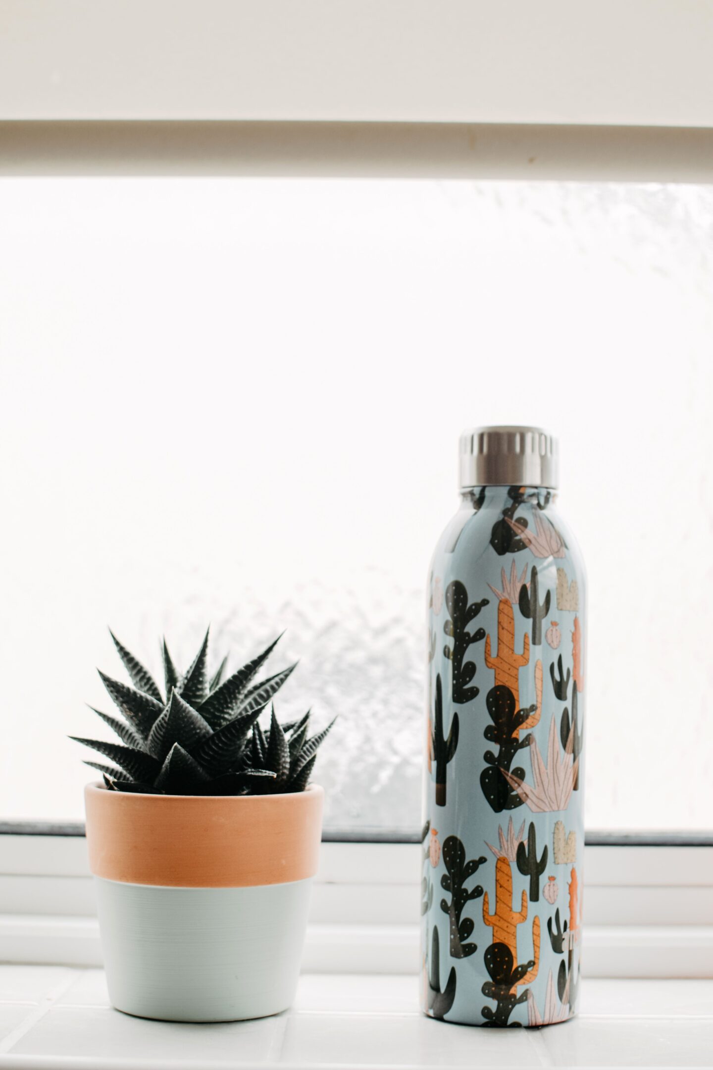 Reusable water bottle with a colorful cactus print standing beside a small potted succulent on a windowsill.