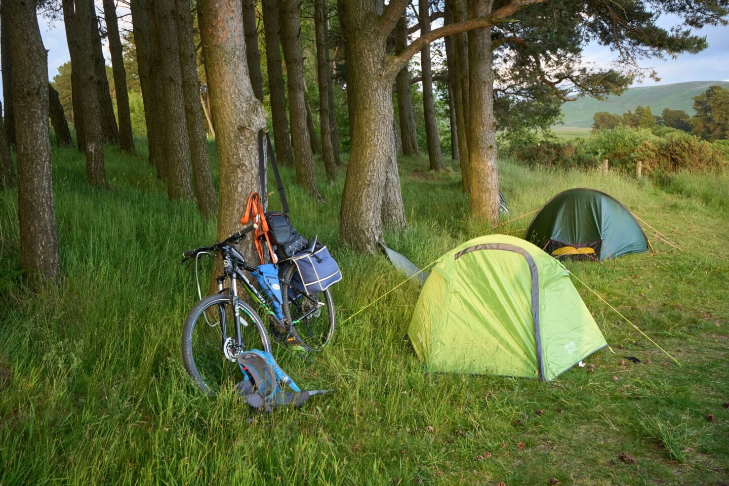 Two tents and a bicycle with camping gear set up among trees at a woodland campsite.