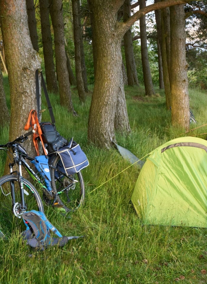 Two tents and a bicycle with camping gear set up among trees at a woodland campsite.