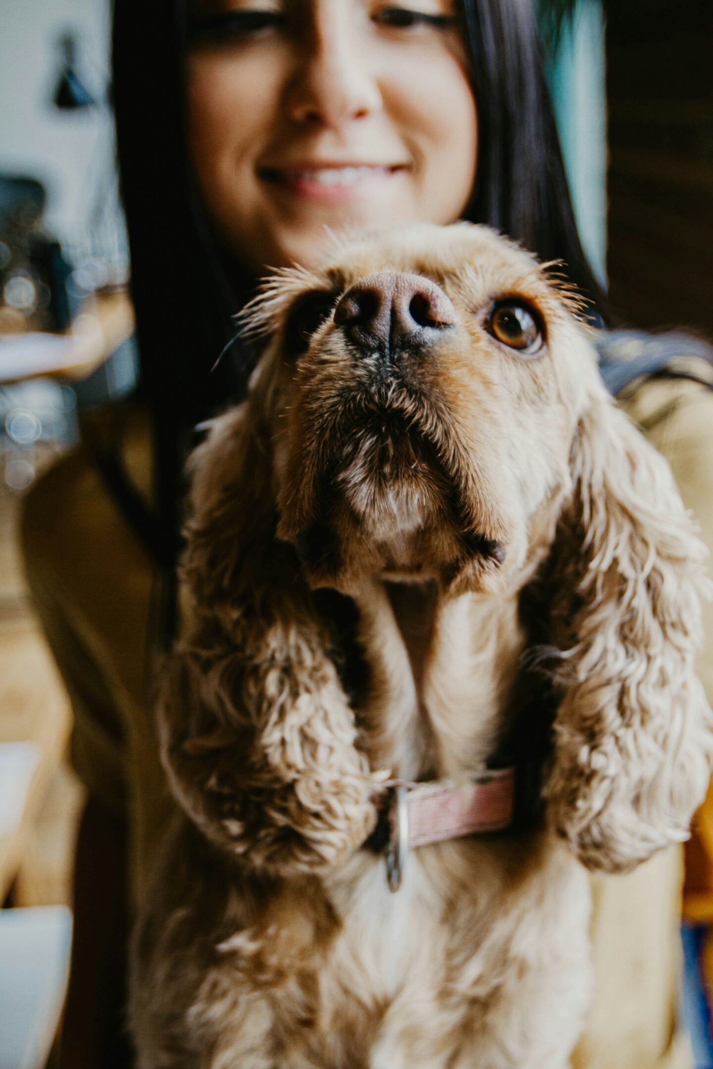 Smiling woman holding a golden-brown dog with long, curly ears and a pink collar, looking toward the camera.
