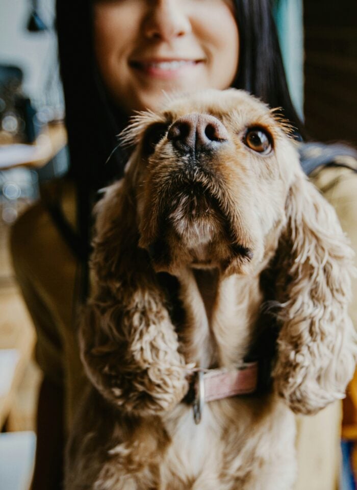 Smiling woman holding a golden-brown dog with long, curly ears and a pink collar, looking toward the camera.