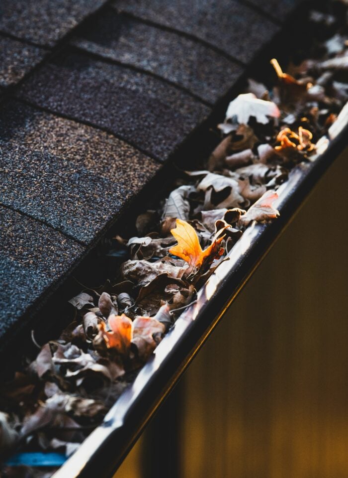 Close-up of a house roof with dark asphalt shingles and a rain gutter clogged with fallen autumn leaves and debris.