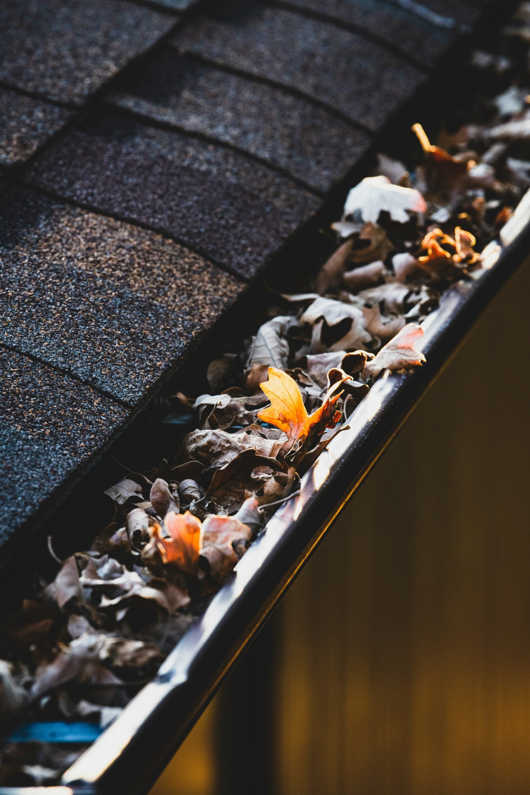 Close-up of a house roof with dark asphalt shingles and a rain gutter clogged with fallen autumn leaves and debris.