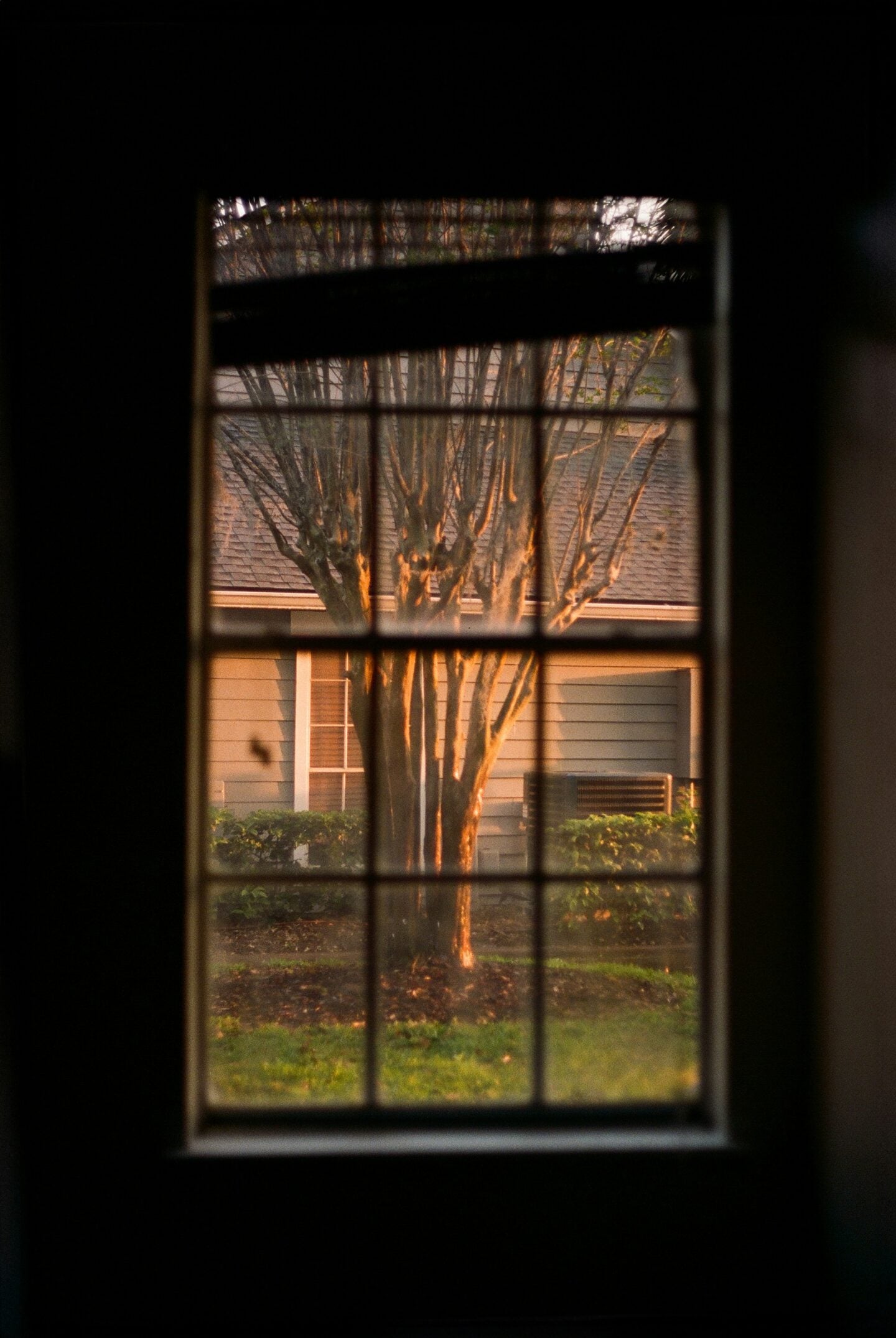 View through an old multi-pane window overlooking a tree, lawn, and neighboring house, illustrating traditional windows in older homes.