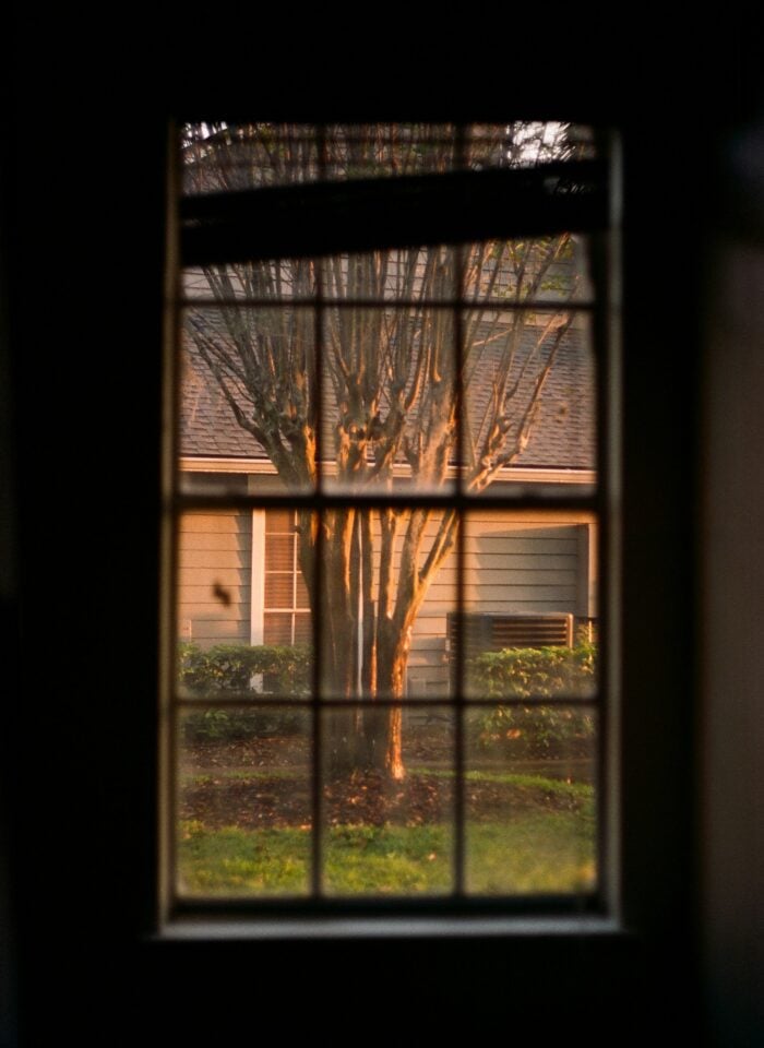 View through an old multi-pane window overlooking a tree, lawn, and neighboring house, illustrating traditional windows in older homes.